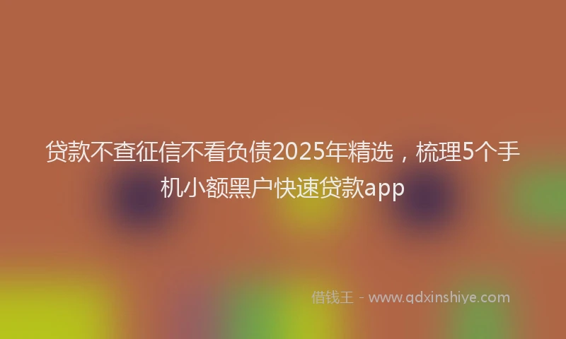 贷款不查征信不看负债2025年精选，梳理5个手机小额黑户快速贷款app