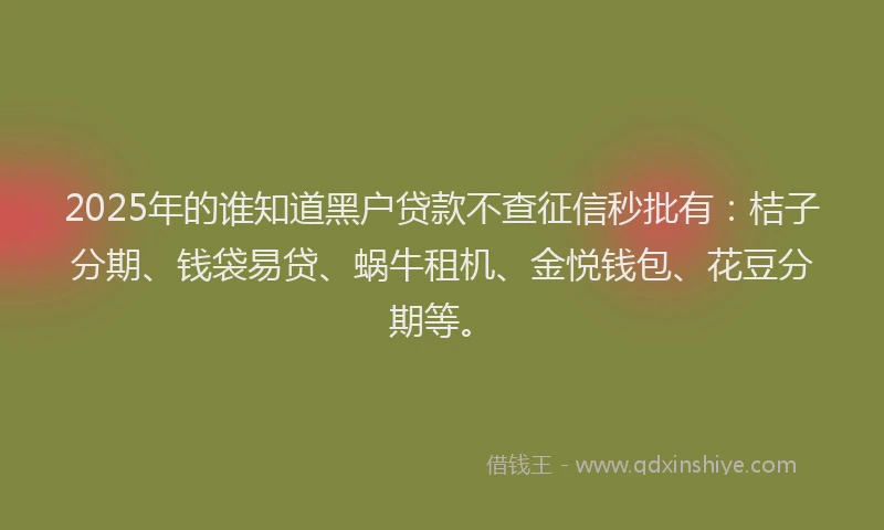 2025年的谁知道黑户贷款不查征信秒批有：桔子分期、钱袋易贷、蜗牛租机、金悦钱包、花豆分期等。