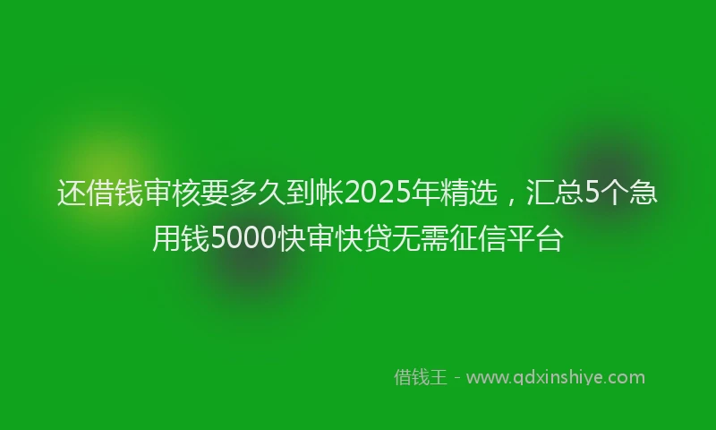还借钱审核要多久到帐2025年精选，汇总5个急用钱5000快审快贷无需征信平台