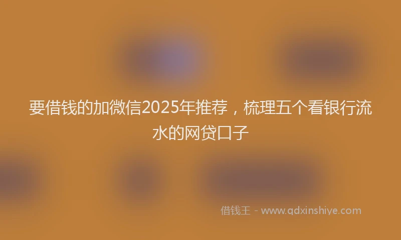 要借钱的加微信2025年推荐，梳理五个看银行流水的网贷口子