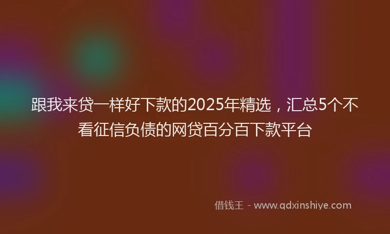 跟我来贷一样好下款的2025年精选，汇总5个不看征信负债的网贷百分百下款平台