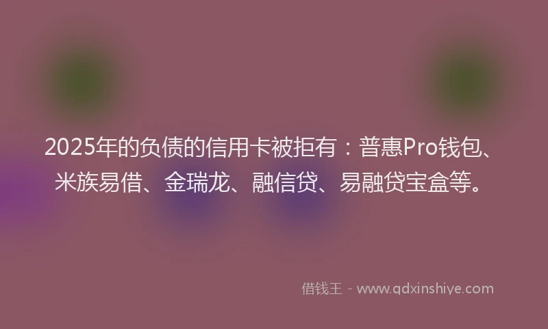 2025年的负债的信用卡被拒有：普惠Pro钱包、米族易借、金瑞龙、融信贷、易融贷宝盒等。
