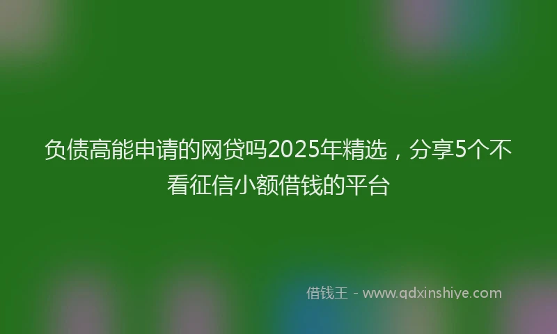 负债高能申请的网贷吗2025年精选，分享5个不看征信小额借钱的平台