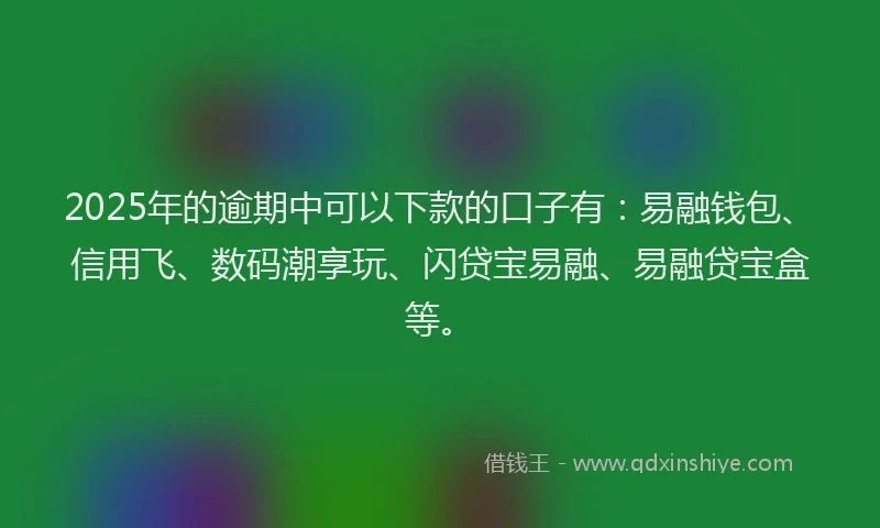 2025年的逾期中可以下款的口子有：易融钱包、信用飞、数码潮享玩、闪贷宝易融、易融贷宝盒等。