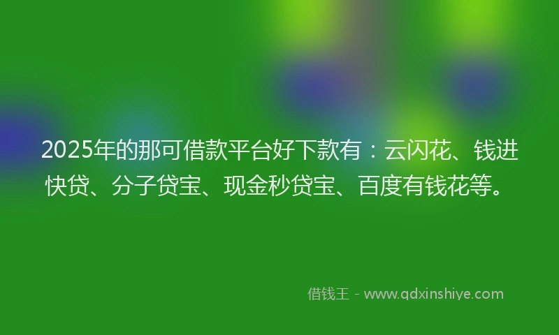 2025年的那可借款平台好下款有：云闪花、钱进快贷、分子贷宝、现金秒贷宝、百度有钱花等。