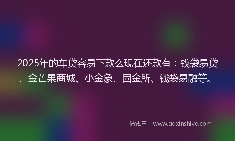 2025年的车贷容易下款么现在还款有：钱袋易贷、金芒果商城、小金象、固金所、钱袋易融等。