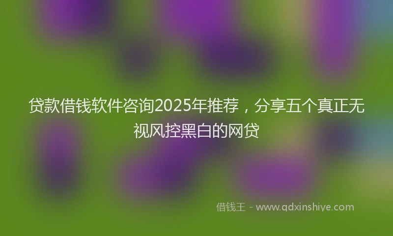 贷款借钱软件咨询2025年推荐，分享五个真正无视风控黑白的网贷