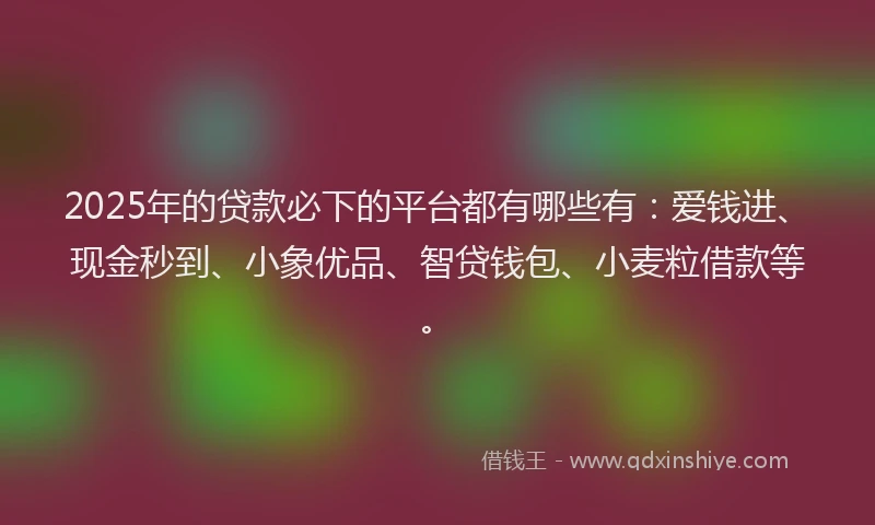 2025年的贷款必下的平台都有哪些有：爱钱进、现金秒到、小象优品、智贷钱包、小麦粒借款等。