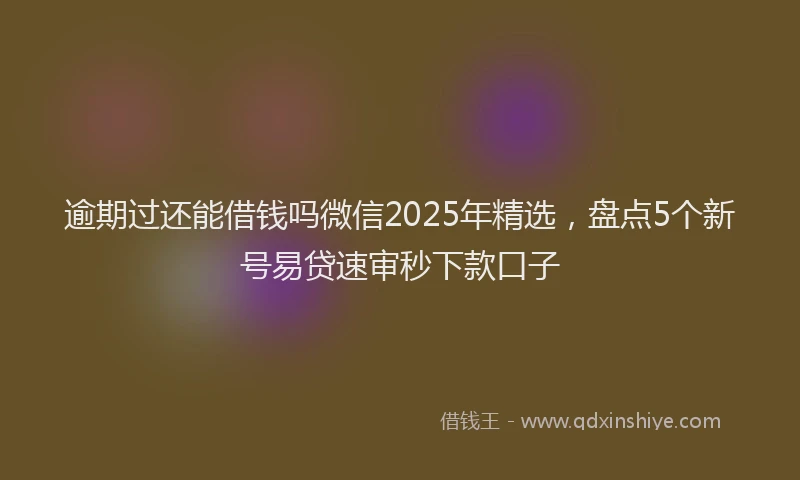 逾期过还能借钱吗微信2025年精选，盘点5个新号易贷速审秒下款口子