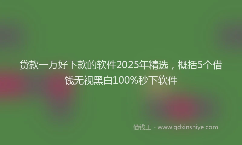 贷款一万好下款的软件2025年精选，概括5个借钱无视黑白100%秒下软件