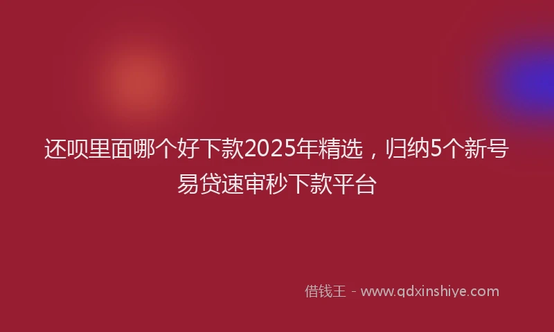 还呗里面哪个好下款2025年精选，归纳5个新号易贷速审秒下款平台