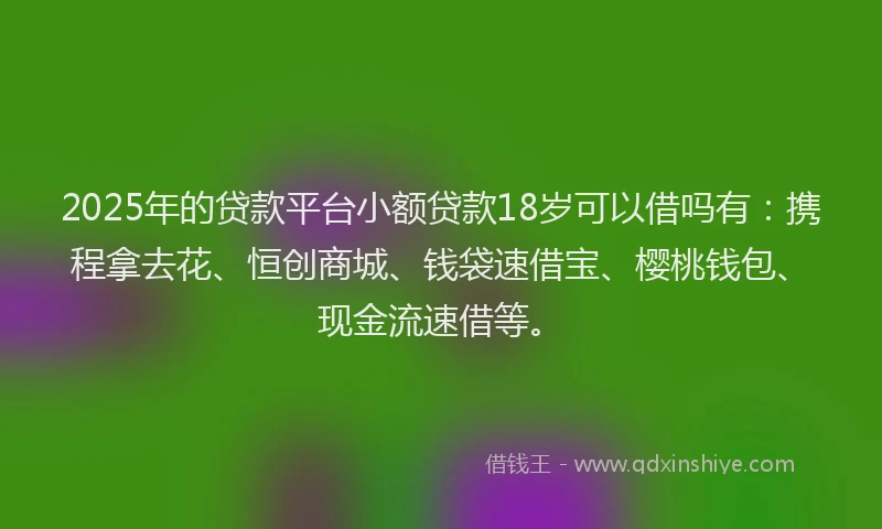 2025年的贷款平台小额贷款18岁可以借吗有：携程拿去花、恒创商城、钱袋速借宝、樱桃钱包、现金流速借等。