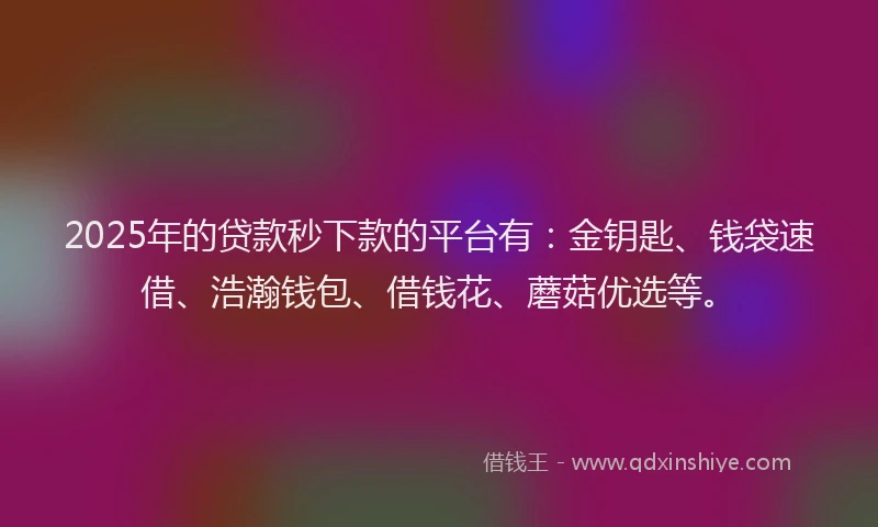 2025年的贷款秒下款的平台有：金钥匙、钱袋速借、浩瀚钱包、借钱花、蘑菇优选等。