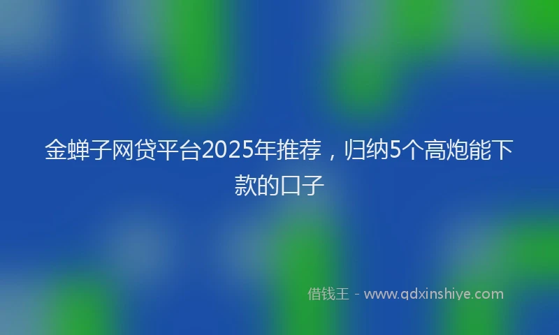 金蝉子网贷平台2025年推荐，归纳5个高炮能下款的口子