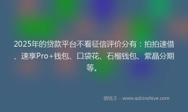 2025年的贷款平台不看征信评价分有：拍拍速借、速享Pro+钱包、口袋花、石榴钱包、紫晶分期等。