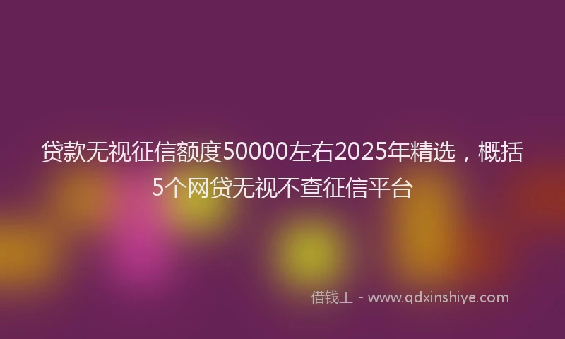 贷款无视征信额度50000左右2025年精选，概括5个网贷无视不查征信平台