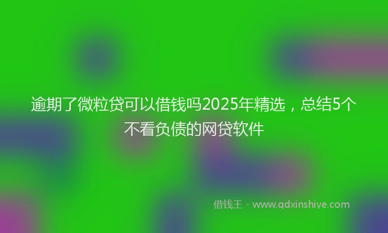 逾期了微粒贷可以借钱吗2025年精选，总结5个不看负债的网贷软件