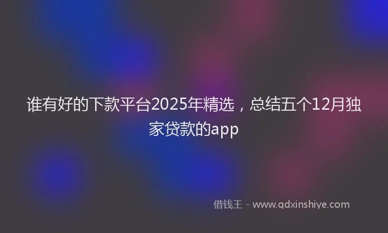谁有好的下款平台2025年精选，总结五个12月独家贷款的app