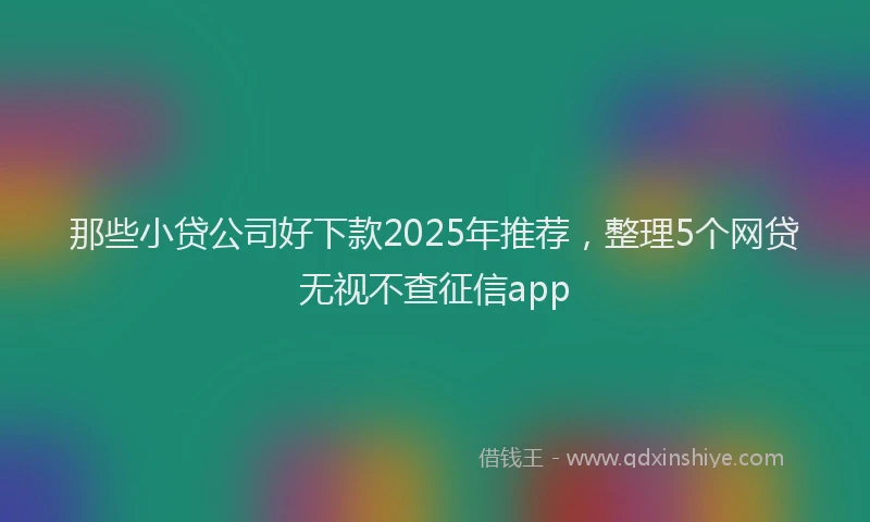 那些小贷公司好下款2025年推荐，整理5个网贷无视不查征信app