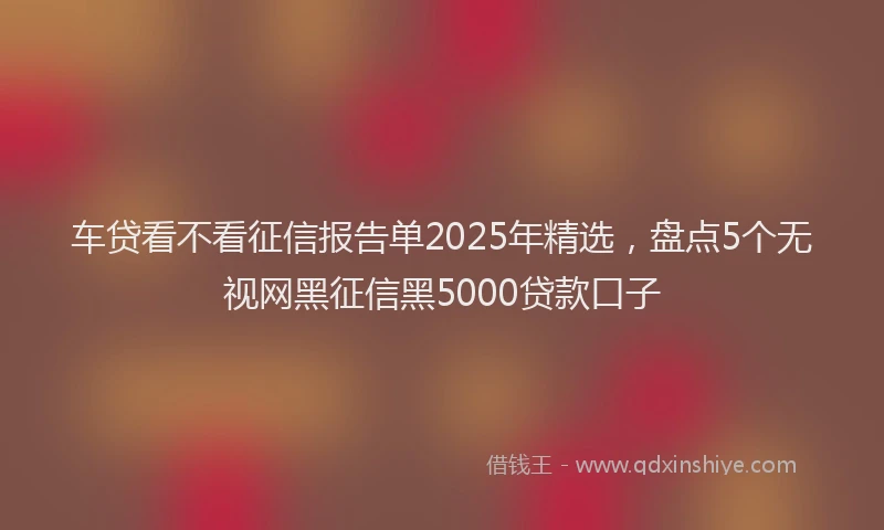 车贷看不看征信报告单2025年精选，盘点5个无视网黑征信黑5000贷款口子