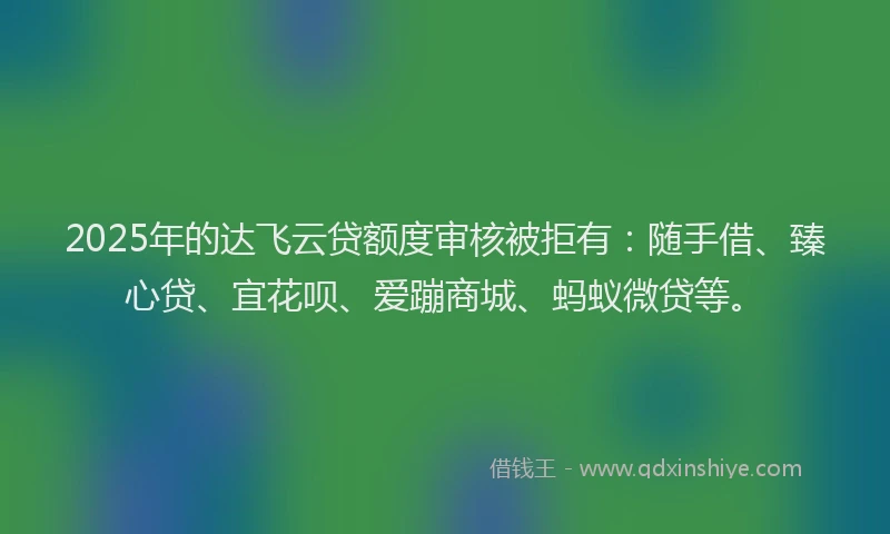 2025年的达飞云贷额度审核被拒有：随手借、臻心贷、宜花呗、爱蹦商城、蚂蚁微贷等。