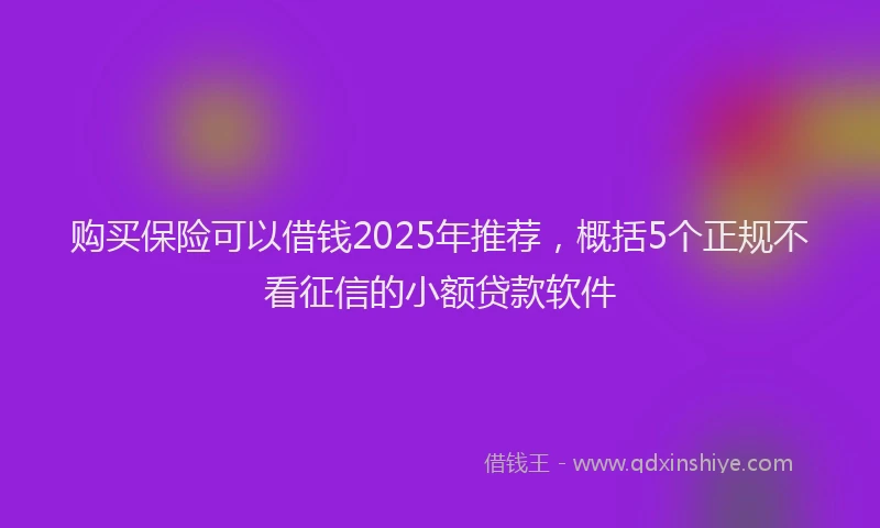 购买保险可以借钱2025年推荐，概括5个正规不看征信的小额贷款软件