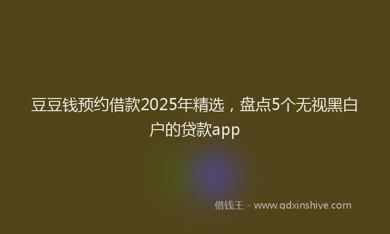 豆豆钱预约借款2025年精选，盘点5个无视黑白户的贷款app