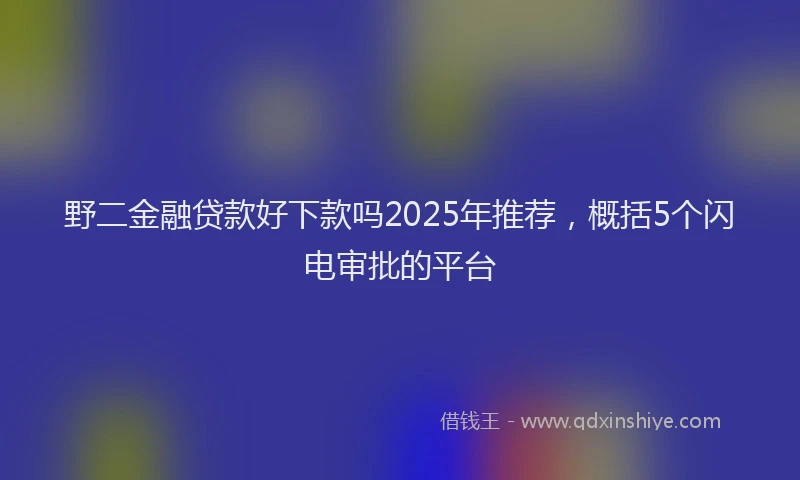 野二金融贷款好下款吗2025年推荐，概括5个闪电审批的平台