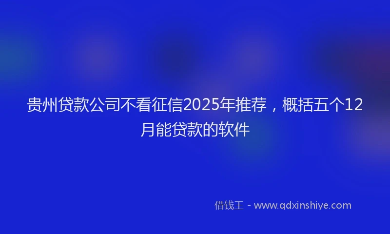 贵州贷款公司不看征信2025年推荐，概括五个12月能贷款的软件