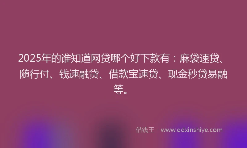 2025年的谁知道网贷哪个好下款有：麻袋速贷、随行付、钱速融贷、借款宝速贷、现金秒贷易融等。