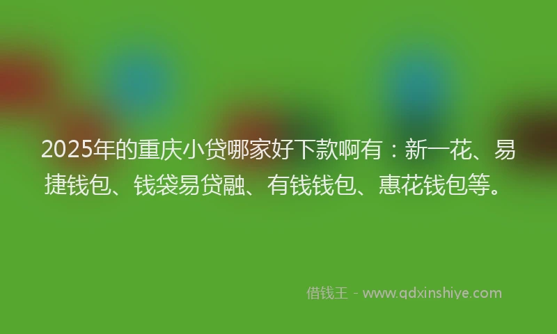 2025年的重庆小贷哪家好下款啊有：新一花、易捷钱包、钱袋易贷融、有钱钱包、惠花钱包等。