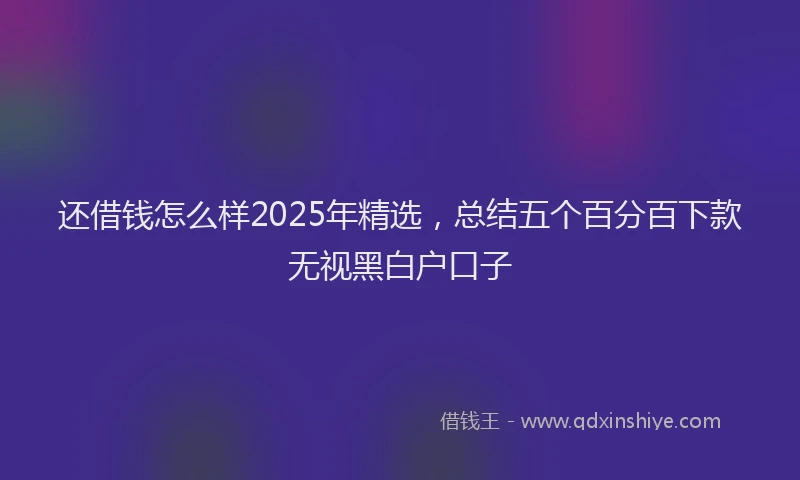 还借钱怎么样2025年精选，总结五个百分百下款无视黑白户口子