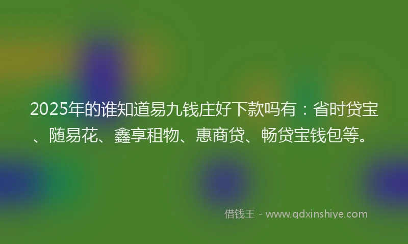 2025年的谁知道易九钱庄好下款吗有：省时贷宝、随易花、鑫享租物、惠商贷、畅贷宝钱包等。