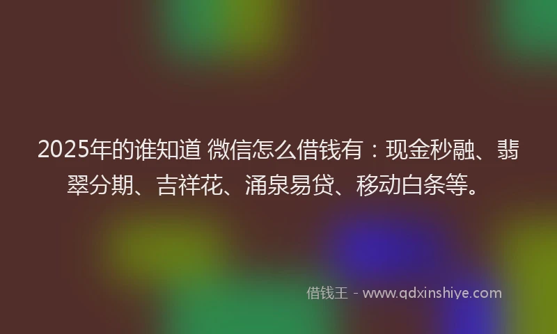 2025年的谁知道 微信怎么借钱有：现金秒融、翡翠分期、吉祥花、涌泉易贷、移动白条等。