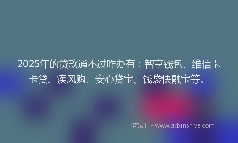 2025年的贷款通不过咋办有：智享钱包、维信卡卡贷、疾风购、安心贷宝、钱袋快融宝等。