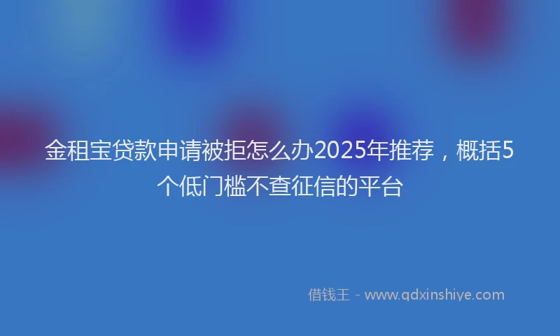 金租宝贷款申请被拒怎么办2025年推荐，概括5个低门槛不查征信的平台