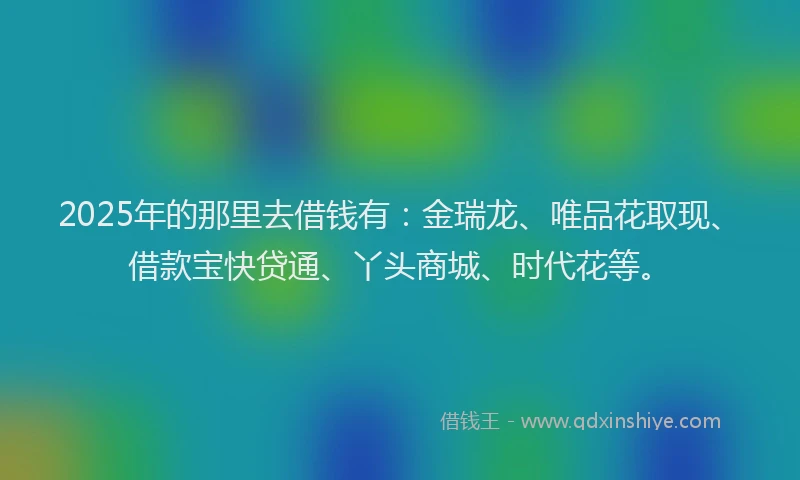 2025年的那里去借钱有：金瑞龙、唯品花取现、借款宝快贷通、丫头商城、时代花等。