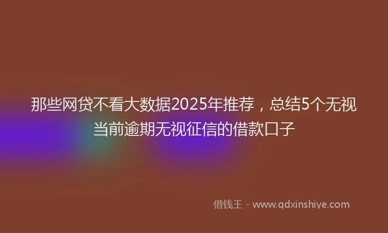 那些网贷不看大数据2025年推荐，总结5个无视当前逾期无视征信的借款口子
