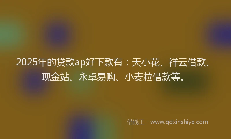 2025年的贷款ap好下款有：天小花、祥云借款、现金站、永卓易购、小麦粒借款等。