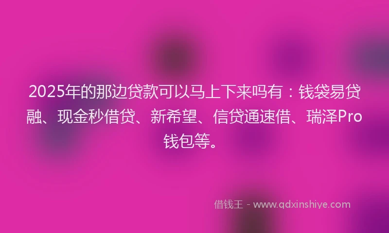 2025年的那边贷款可以马上下来吗有：钱袋易贷融、现金秒借贷、新希望、信贷通速借、瑞泽Pro钱包等。