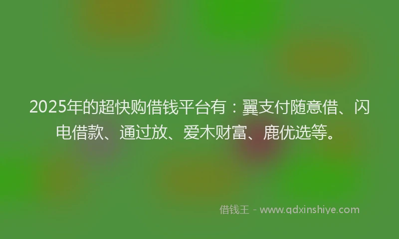 2025年的超快购借钱平台有：翼支付随意借、闪电借款、通过放、爱木财富、鹿优选等。