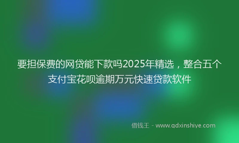 要担保费的网贷能下款吗2025年精选，整合五个支付宝花呗逾期万元快速贷款软件