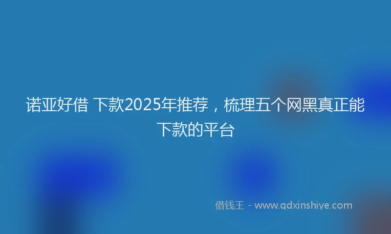 诺亚好借 下款2025年推荐，梳理五个网黑真正能下款的平台