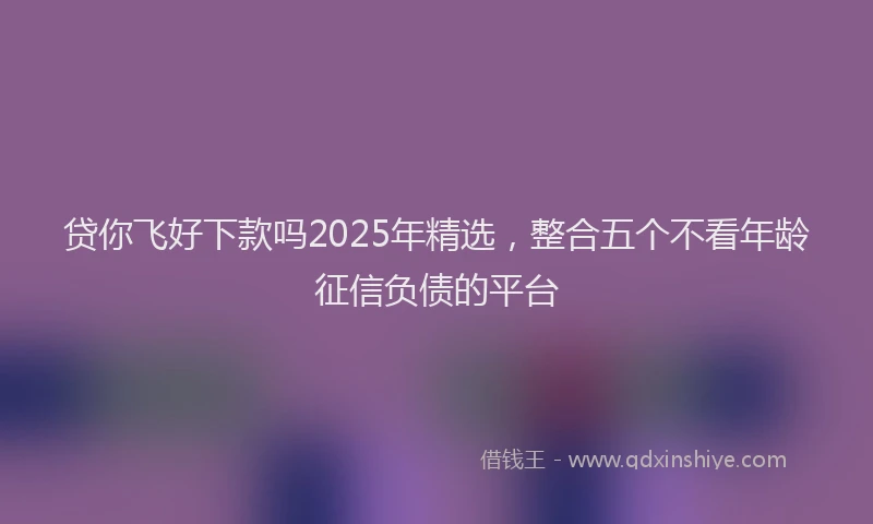 贷你飞好下款吗2025年精选，整合五个不看年龄征信负债的平台