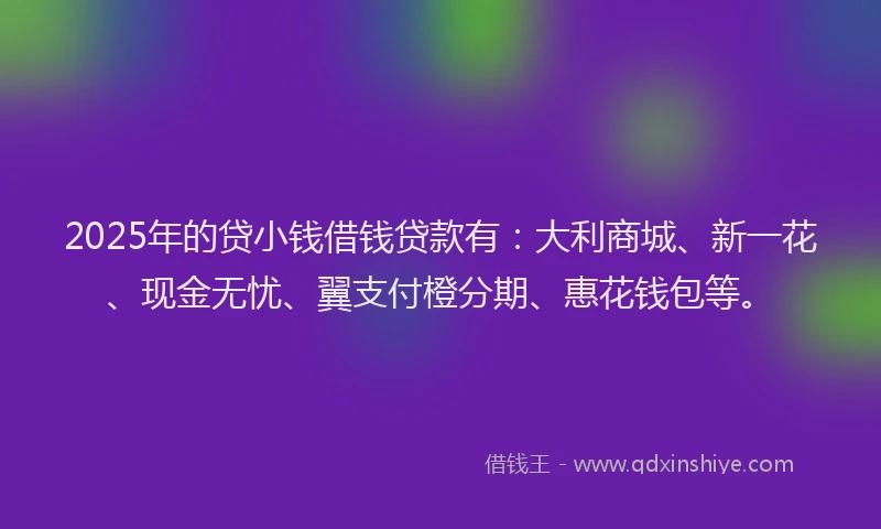 2025年的贷小钱借钱贷款有：大利商城、新一花、现金无忧、翼支付橙分期、惠花钱包等。