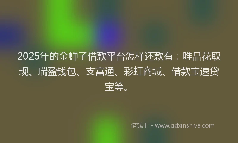 2025年的金蝉子借款平台怎样还款有：唯品花取现、瑞盈钱包、支富通、彩虹商城、借款宝速贷宝等。