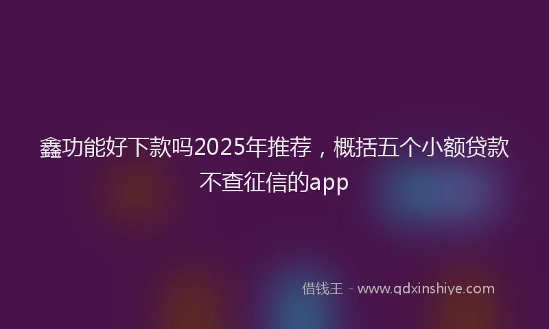 鑫功能好下款吗2025年推荐，概括五个小额贷款不查征信的app