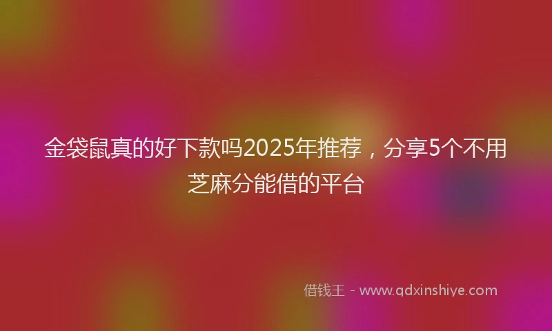 金袋鼠真的好下款吗2025年推荐，分享5个不用芝麻分能借的平台