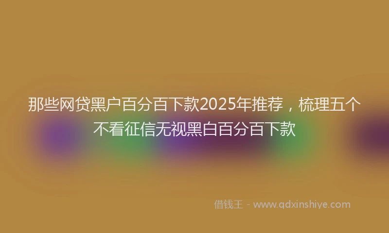 那些网贷黑户百分百下款2025年推荐，梳理五个不看征信无视黑白百分百下款