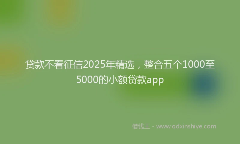 贷款不看征信2025年精选，整合五个1000至5000的小额贷款app